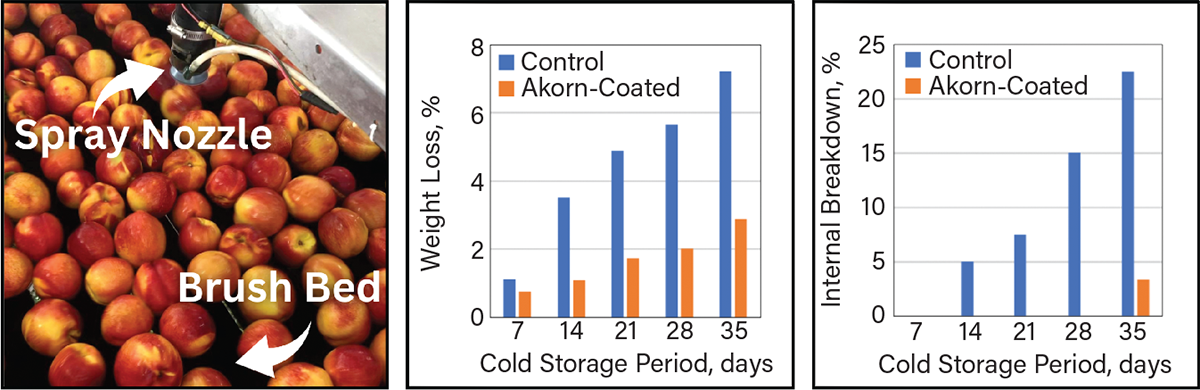 Topic Image Right