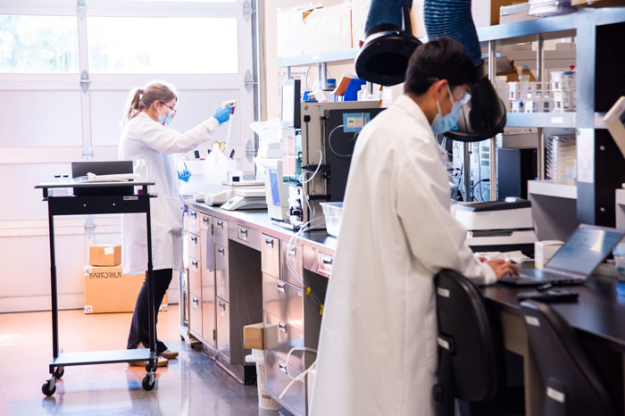Antheia scientists in the lab work to end drug shortages with synthetic biology.
